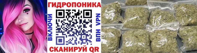 MEGA маркетплейс  дарнет шоп  Елизаветинская  Бошки марихуана план 